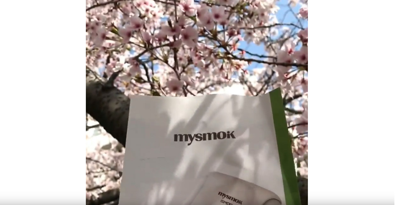 when Yun Xi heated tobacco device meets sakura