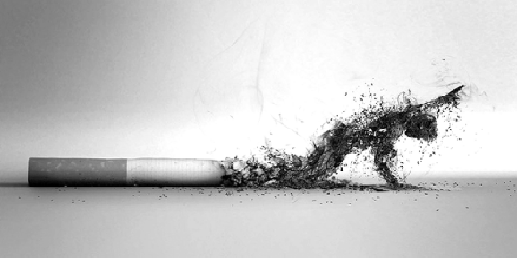 Some Knowledge about Nicotine