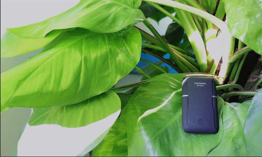 Next Generation Product Report:Let’s Begin With The Popularity of Heated Tobacco Product